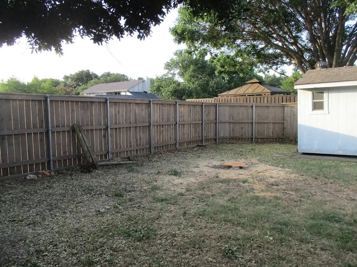 Cleared yard after professional tree removal in Sardis